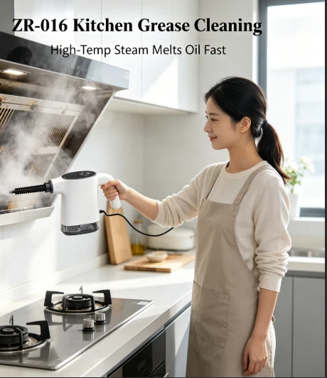 Portable Steam Washing Gun best